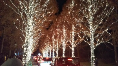 DSC_0114_2.JPG